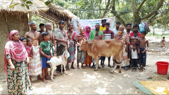 পার্বতীপুরে আশ্রয়ণ প্রকল্পে দরিদ্র ৭৫ পরিবারে মাংস বিতরন