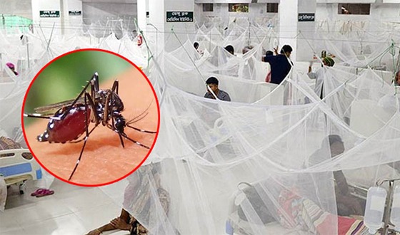 হঠাৎ বাড়ল ডেঙ্গু সংক্রমণ, ২৪ ঘন্টায় হাসপাতালে ২৮৮