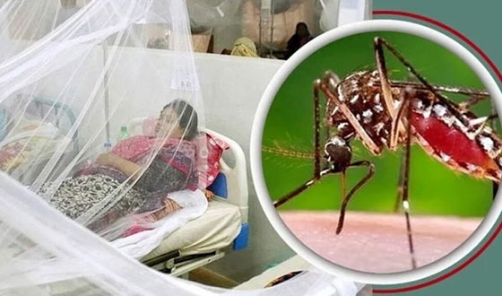 বরিশালে ডেঙ্গু জ্বরে ২৪ ঘন্টায় তিনজনের মৃত্যু