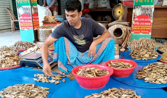 কদর বেড়েছে হোসেনপুরের চ্যাপা-শুটকির