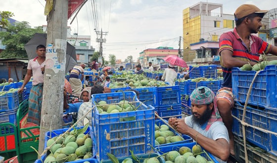 সাপাহার আমের হাট ক্রেতা বিক্রেতার পদচারণায় জমজমাট