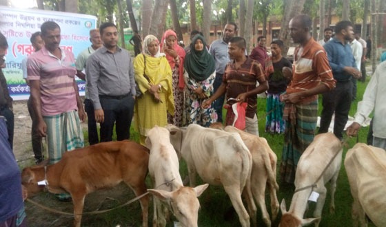 দিঘলিয়ায় প্রান্তিক জেলেদের মাঝে বকনা বাছুর বিতরণ