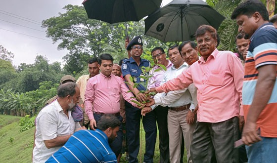কালীগঞ্জে সামাজিক বনায়ন কর্মসূচির উদ্বোধন