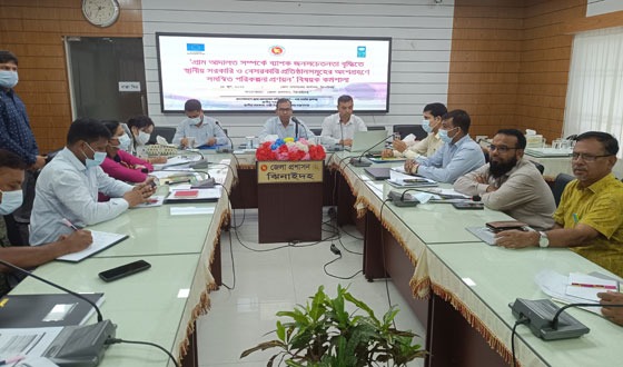 ঝিনাইদহে সমন্বিত পরিকল্পনা বিষয়ক কর্মশালা