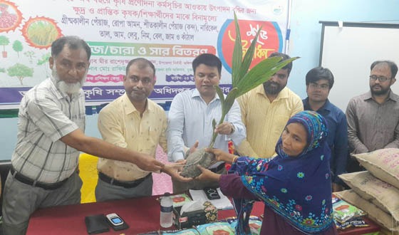 সুজানগরে কৃষকের মাঝে বীজ সার ও চারা বিতরণ