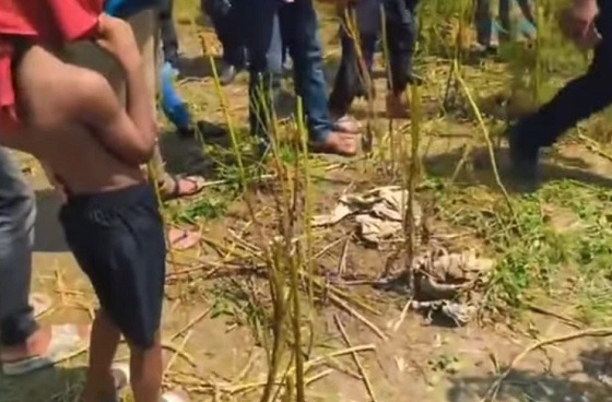 নড়াইলে অজ্ঞাত কঙ্কাল, মাথার খুলি ও নারীর পোশাক উদ্ধার