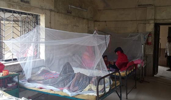 আমতলীতে ডেঙ্গুর প্রাদুর্ভাব, ২৪ ঘন্টায় হাসপাতালে ভর্তি ৫