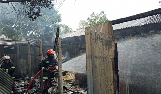 টাঙ্গাইলে যৌনপল্লীতে অগ্নিকাণ্ড, ১২টি ঘর পুড়ে ছাই