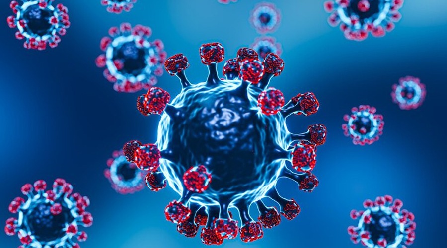 করোনায় ঝরলো দুই প্রাণ, নতুন শনাক্ত ৭