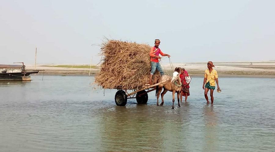 গাইবান্ধায় বিয়েসহ বিভিন্ন সামাজিক অনুষ্ঠানে বেড়েছে ঘোড়ার গাড়ির ব্যবহার