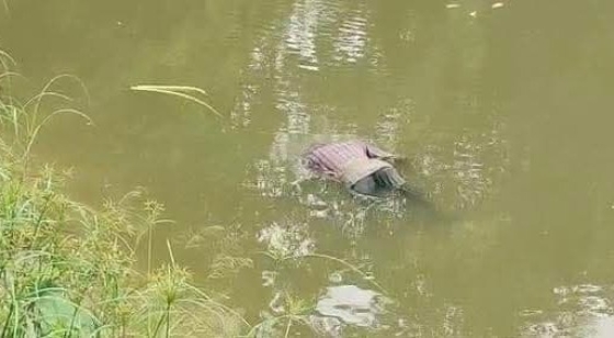 মোহনপুরে পুকুর থেকে ভারসাম্যহীন ব্যক্তির মরদেহ উদ্ধার