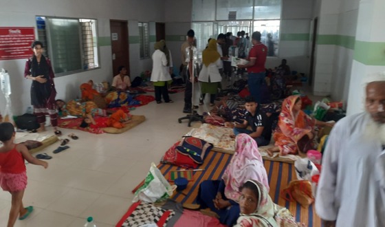 বরগুনায় ডেঙ্গুতে আরও ৭৭ জন আক্রান্ত, মৃত্যু ১