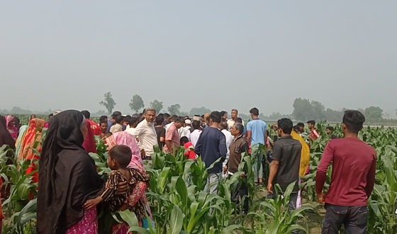 রাণীশংকৈলে নৈশ্য প্রহরীর লাশ উদ্ধার