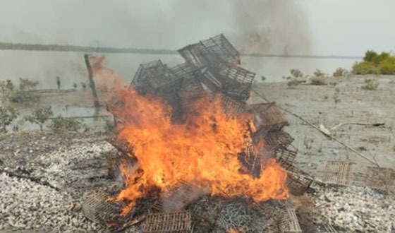 কোকিলমনিতে কাকড়া ধরার নিষিদ্ধ চারু আগুনে পুড়িয়ে ধংস
