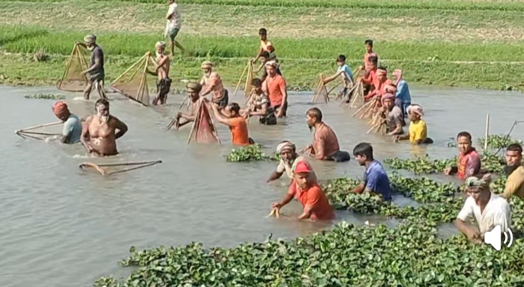 তানোরে শীবনদীতে মাছ ধরা উৎসব