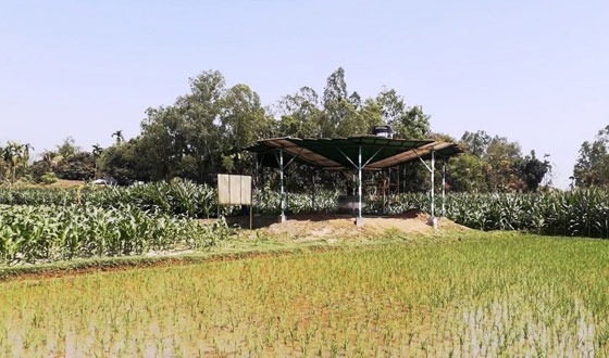 পাতকুয়ার সুফল পাচ্ছে না কৃষক