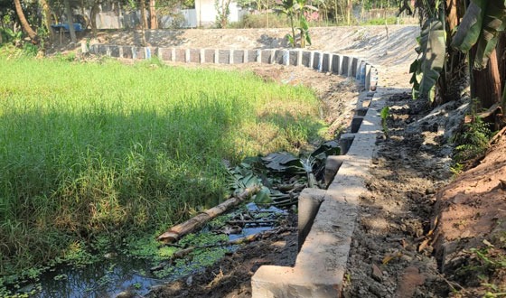 লৌহজংয়ে এলজিইডি সড়কের প্যালাসাইডিং নির্মাণে অনিয়ম দুর্নীতির অভিযোগ