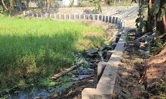 লৌহজংয়ে এলজিইডি সড়কের প্যালাসাইডিং নির্মাণে দুর্নীতির অভিযোগ
