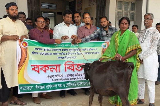 হিলিতে ক্ষুদ্র নৃতাত্বিক জনগোষ্ঠির পরিবারের মাঝে বকনা বিতরন