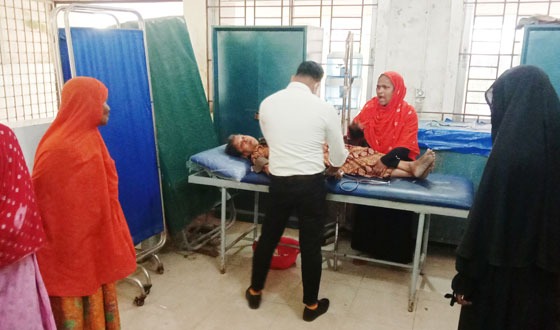 ফুলবাড়ীতে মৌমাছির চাকে বাজ পাখির থাবা, কামড়ে আহত ৪