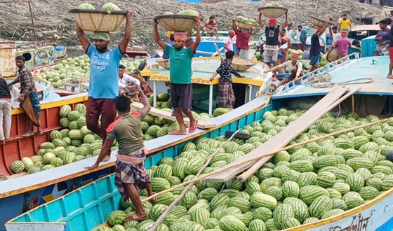 মৌসুমী ফল তরমুজে বাজার সয়লাব, কমেনি দাম