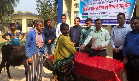 সাপাহারে ক্ষুদ্র নৃ-গোষ্ঠির জীবনমান উন্নয়নে বকনা গরু বিতরণ