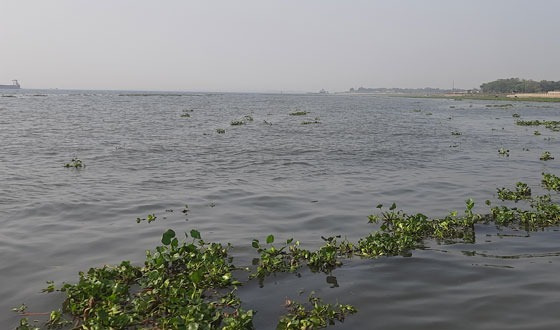 গজারিয়ায় নৌযান শ্রমিকের লাশ উদ্ধার