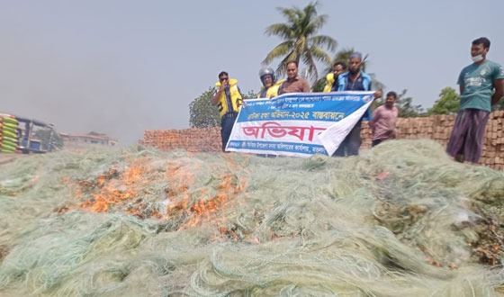 মতলবে ৭৫ হাজার কারেন্ট জাল ও ৫০ কেজি জাটকা ইলিশ জব্দ