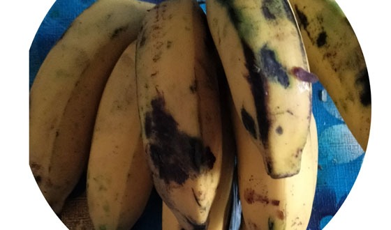 মনিটরিং সেলের প্রভাব নেই মতলবের বাজারে