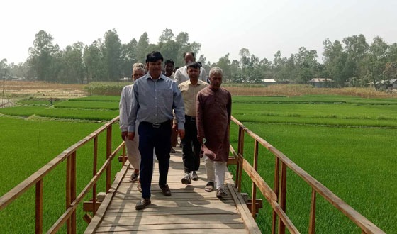 রাজিবপুরে কাঠের ব্রিজ উদ্বোধন, এলাাকা  বাসীর স্বস্তি