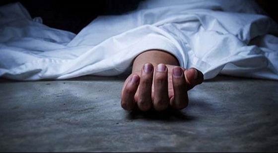 সড়ক দূর্ঘটনায় প্রবাসী নিহত