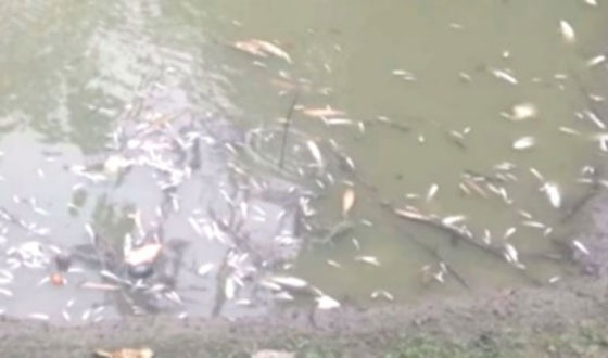 ভূঞাপুরে দুর্বৃত্তের বিষে যুবকের স্বপ্ন ভঙ্গ