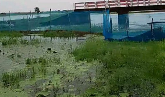 আইতলার দাড়ার খাল জলমহলের ইজারা বাতিলের আবেদন