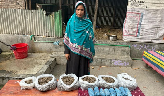 চাটমোহরে গাঁজা ও অস্ত্রসহ মাদক সম্রাজ্ঞী গ্রেফতার