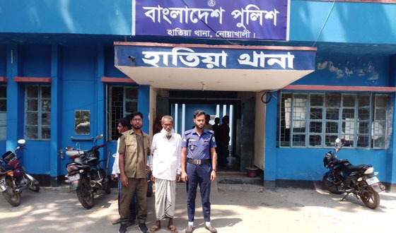 হাতিয়ায় সংরক্ষিত বনের গাছ কাটার অভিযোগে আটক এক