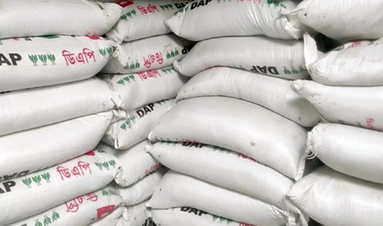 কাহারোলে ডিএপি সার পাচারের সময় আটক: তদন্ত কমিটি গঠন