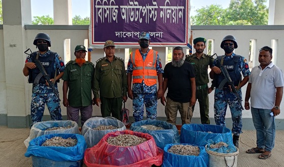 সুন্দরবনের বিষ প্রয়োগ করা ১ হাজার কেজি অবৈধ চিংড়ি মাছ জব্দ