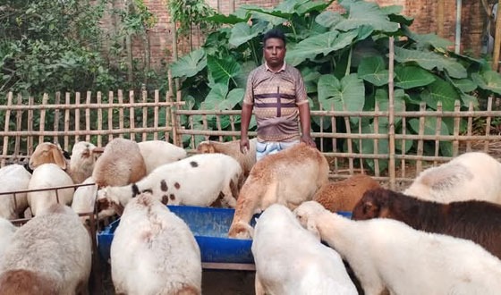 নীলফামারীর তিস্তা সেচ ক্যানেল হতে বৃদ্ধের লাশ উদ্ধার