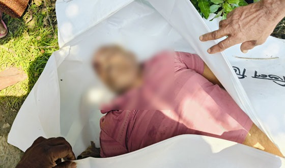 কালীগঞ্জে ট্রাকের চাপায় মোটর সাইকেল আরোহী নিহত