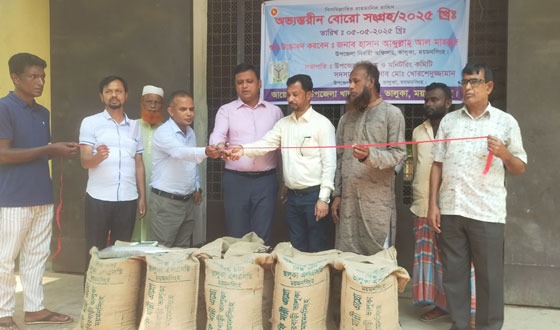 ভালুকায় ৩৬ টাকা কেজি দরে ধান কিনছে খাদ্য বিভাগ