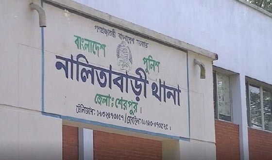 নালিতাবাড়ীতে গলায় লিচুর বিচি আটকে শিশুর মৃত্যু