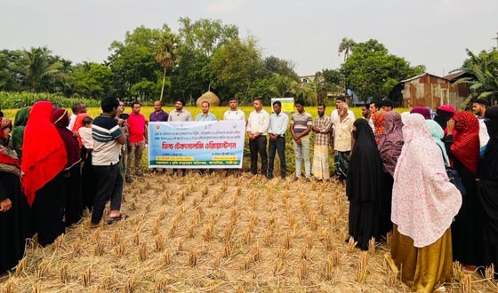 কাপাসিয়ায় বোরো ধান প্রদর্শনীর "ফিল্ড টেকনোলজি ওরিয়েন্টেশন"