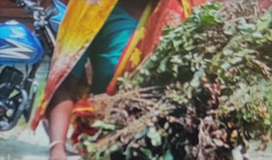 চিলমারীতে সন্ত্রাসীদের হামলায় আহত ৩, ফসল বিনষ্টের অভিযোগ