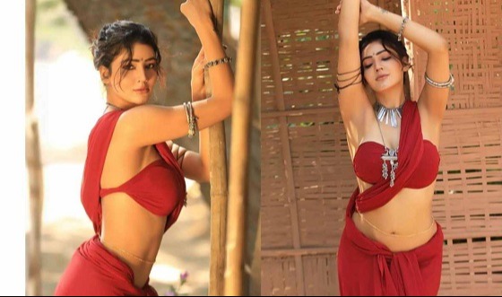 অভিনয় থেকে বিদায়ের ঘোষণা দিলেন সোনিয়া বানসাল