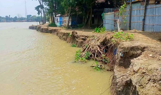 বর্ষার আগেই নদী ভাঙনে দিশেহারা ভুক্তভোগী মানুষ