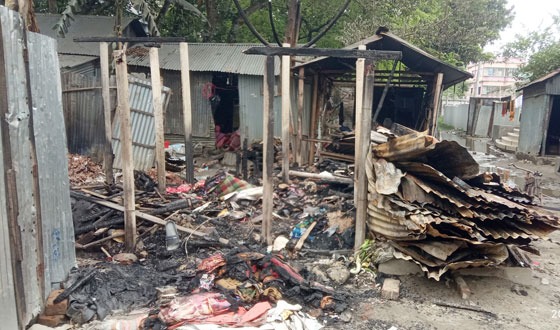 মেলান্দহে বিদ্যুতায়িত হয়ে দুই নারী ও দুই গরুর মৃত্যু