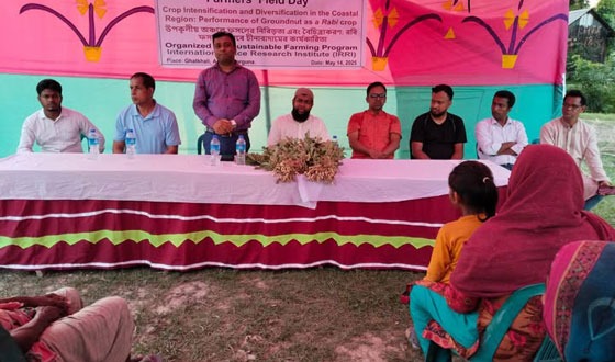 আমতলীতে কৃষক মাঠ দিবস পালিত