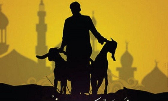 কোরবানির পশুতে আকিকার অংশ রাখা নিয়ে হাদিস কি বলে?