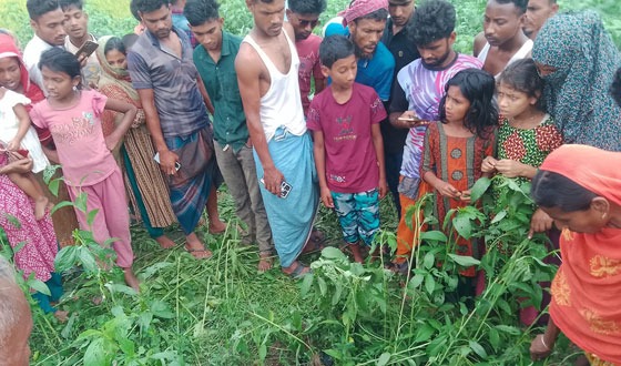 বকশীগঞ্জে অজ্ঞাত নারীর মরদেহ উদ্ধার