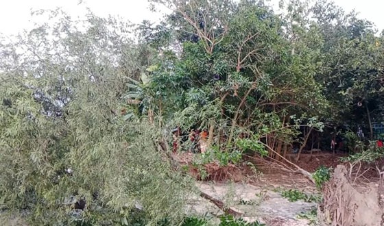 সন্ধ্যা নদীর ভাঙ্গনে বিলীন ৮ বসত ঘর